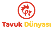 Tavuk Dünyası